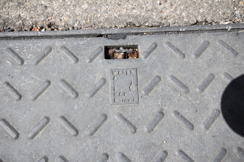 drain cover